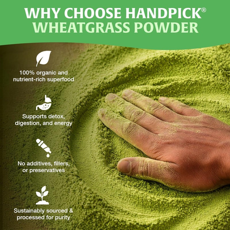 Handpick مسحوق عشب القمح العضوي من هاندبيك - 10 أونصات خالي من الجلوتين مسحوق أخضر غني - Image 4